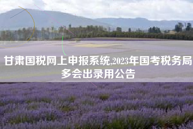 甘肃国税网上申报系统,2023年国考税务局多会出录用公告