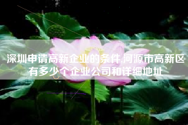 深圳申请高新企业的条件,河源市高新区有多少个企业公司和详细地址