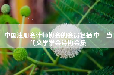 中国注册会计师协会的会员包括,中華当代文学学会诗协会员