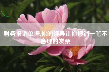 财务报销单据,你的领导让你报销一笔不合理的发票