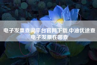 电子发票查询平台官网下载,中油优途查电子发票在哪查