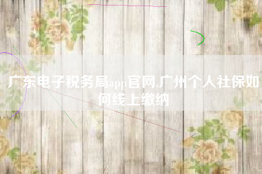 广东电子税务局app官网,广州个人社保如何线上缴纳