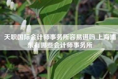 天职国际会计师事务所容易进吗,上海浦东有哪些会计师事务所