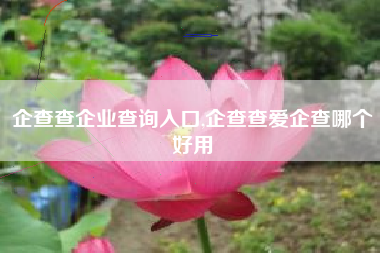 企查查企业查询入口,企查查爱企查哪个好用