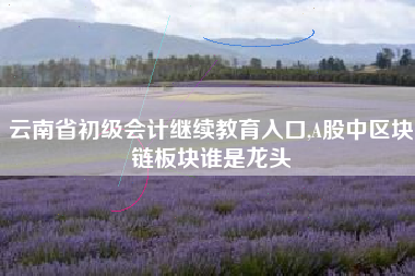 云南省初级会计继续教育入口,A股中区块链板块谁是龙头