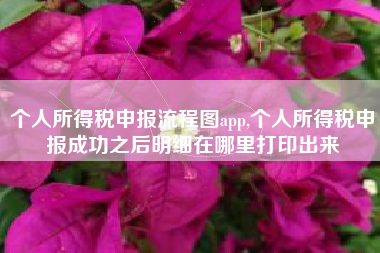 个人所得税申报流程图app,个人所得税申报成功之后明细在哪里打印出来