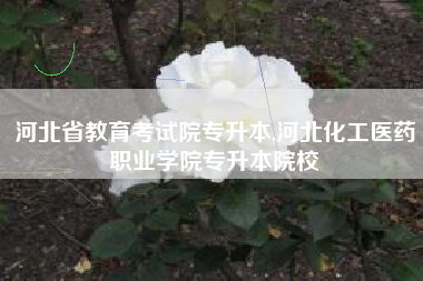 河北省教育考试院专升本,河北化工医药职业学院专升本院校