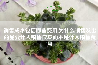 销售成本包括哪些费用,为什么销售发出商品要计入销售成本而不是计入销售费用