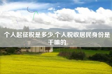 个人起征税是多少,个人税收居民身份是干嘛的