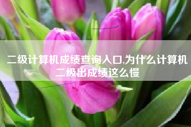 二级计算机成绩查询入口,为什么计算机二级出成绩这么慢