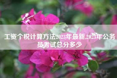 工资个税计算方法2023年最新,2023年公务员考试总分多少