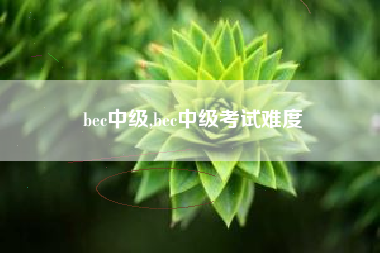bec中级,bec中级考试难度