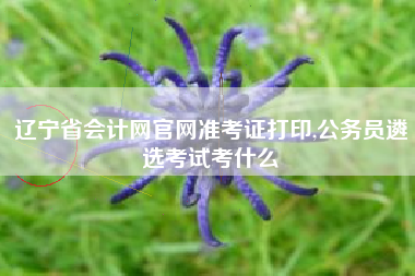 辽宁省会计网官网准考证打印,公务员遴选考试考什么