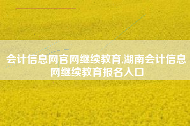 会计信息网官网继续教育,湖南会计信息网继续教育报名入口