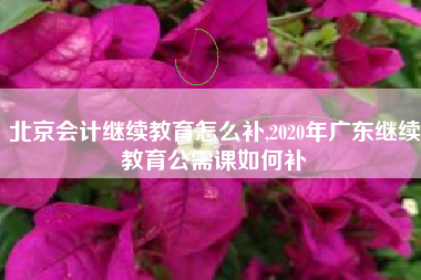 北京会计继续教育怎么补,2020年广东继续教育公需课如何补
