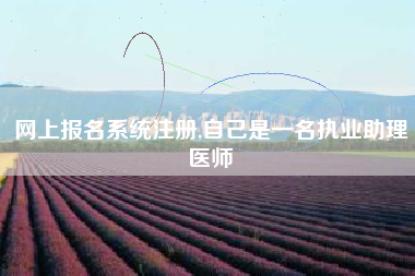网上报名系统注册,自己是一名执业助理医师