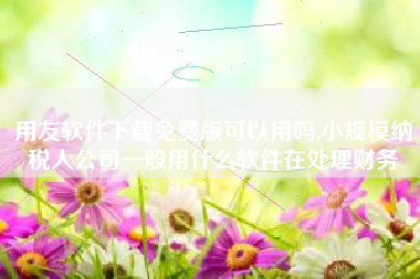 用友软件下载免费版可以用吗,小规模纳税人公司一般用什么软件在处理财务