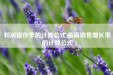 利润留存率的计算公式,最高销售增长率的计算公式