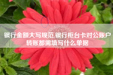 银行金额大写规范,银行柜台卡对公账户转账都需填写什么单据
