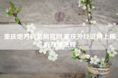重庆地方税务局官网,重庆外经证网上核销办理流程