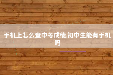 手机上怎么查中考成绩,初中生能有手机吗