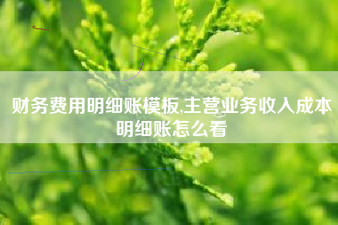 财务费用明细账模板,主营业务收入成本明细账怎么看