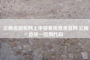云南省国税网上申报系统登录官网,云南省统一信用代码
