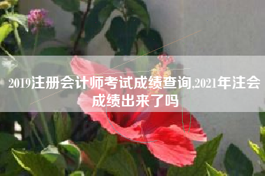 2019注册会计师考试成绩查询,2021年注会成绩出来了吗