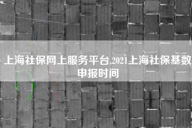 上海社保网上服务平台,2021上海社保基数申报时间