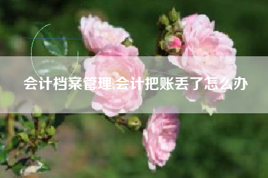 会计档案管理,会计把账丢了怎么办