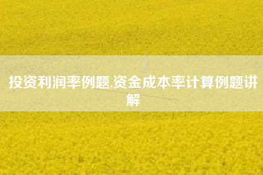 投资利润率例题,资金成本率计算例题讲解