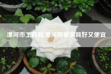 漯河市工商局,漯河哪里家具好又便宜