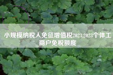小规模纳税人免征增值税2023,2023个体工商户免税额度