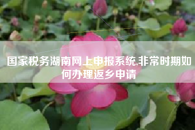 国家税务湖南网上申报系统,非常时期如何办理返乡申请