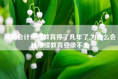 河南会计继续教育停了几年了,为什么会计继续教育登录不上