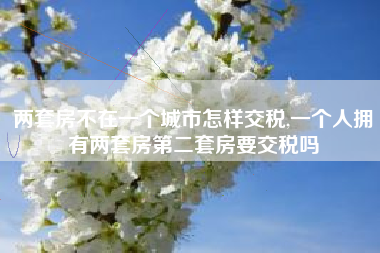 两套房不在一个城市怎样交税,一个人拥有两套房第二套房要交税吗