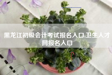 黑龙江初级会计考试报名入口,卫生人才网报名入口