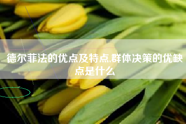 德尔菲法的优点及特点,群体决策的优缺点是什么