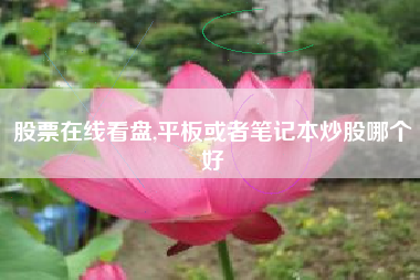 股票在线看盘,平板或者笔记本炒股哪个好