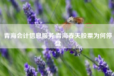 青海会计信息服务,青海春天股票为何停盘
