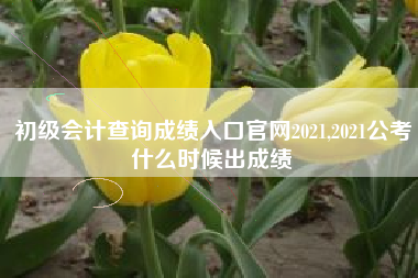 初级会计查询成绩入口官网2021,2021公考什么时候出成绩