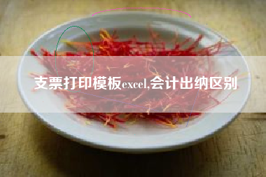 支票打印模板excel,会计出纳区别