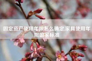 固定资产使用年限怎么确定,家具使用年限国家标准