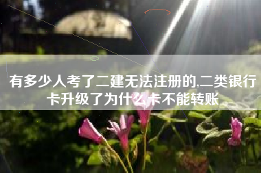 有多少人考了二建无法注册的,二类银行卡升级了为什么卡不能转账