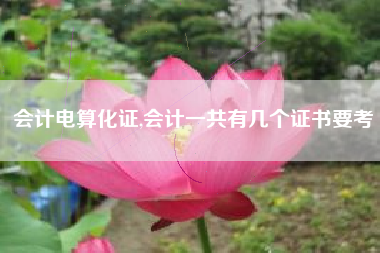 会计电算化证,会计一共有几个证书要考