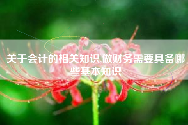 关于会计的相关知识,做财务需要具备哪些基本知识