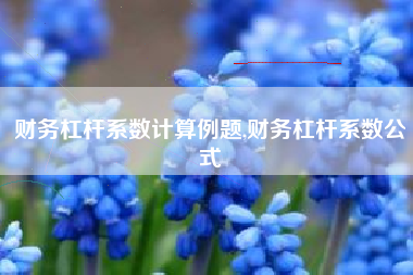 财务杠杆系数计算例题,财务杠杆系数公式