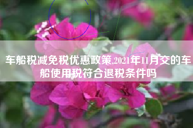 车船税减免税优惠政策,2021年11月交的车船使用税符合退税条件吗