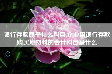 银行存款属于什么科目,企业用银行存款购买原材料的会计科目是什么