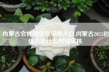 内蒙古会计网信息采集入口,内蒙古2023初级会计什么时候审核